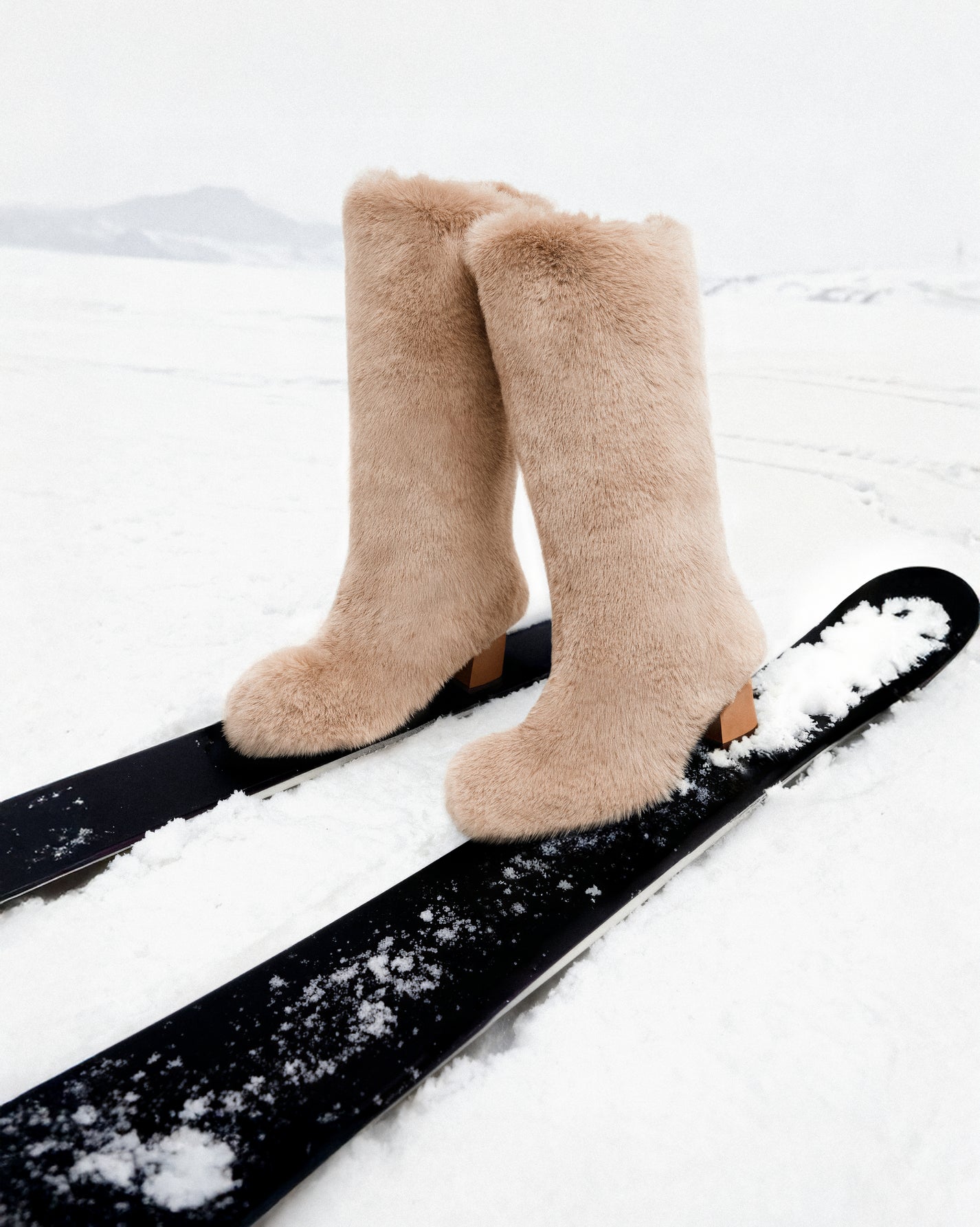 コージーブーツ