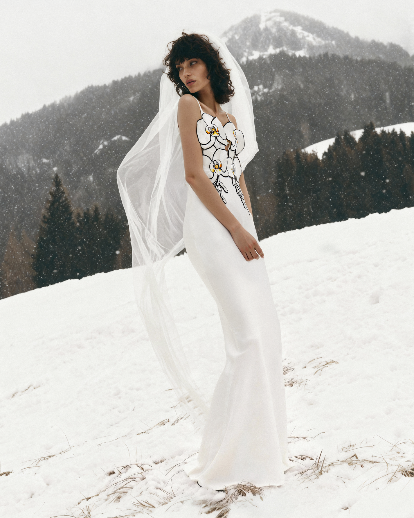 フロステッドグレース